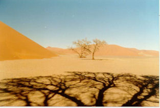African desert