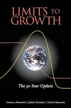 Limits to Growth: Club of Rome and the World Problematique