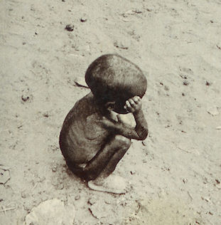 The world food shortage continues due to droughts and overpopulation
