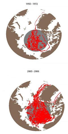 Ice and weather patterns
