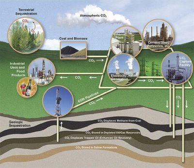 CO2 Sequestration Model Process