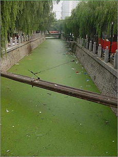 China's water treatment and distribution facilities are not keeping up with need