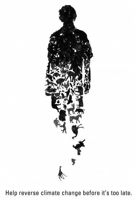 Species are disappearing at a far higher rate than is normal, due to various human impacts on the environment; click for larger image. Image courtesy of WWF.