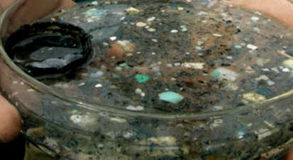 The plastic found in parts of the ocean outweighs the living organisms, and is mistaken for food; click to see video
