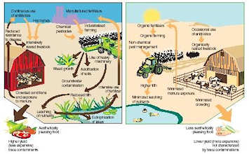 Organic farming requires many steps to be successful