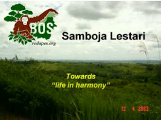 Towards life in harmony; click to see the video