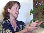 Kate Magruder, founder of Placemeant Project; click to see the video