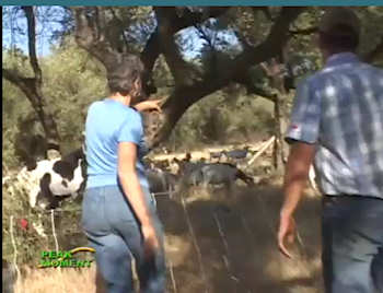 How a family farm succeeds while respecting nature; click to see the video